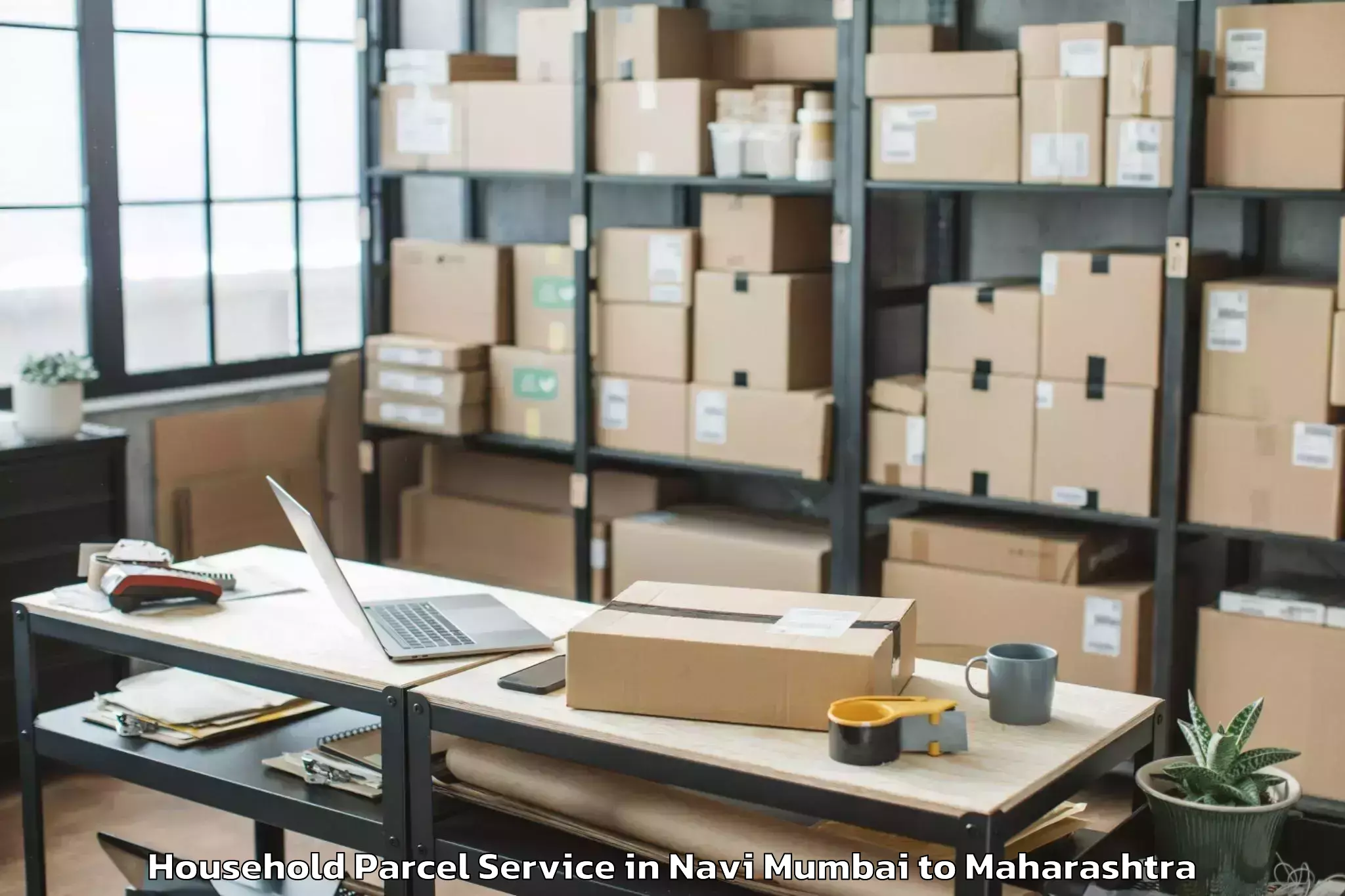 Professional Navi Mumbai to Newasa Household Parcel